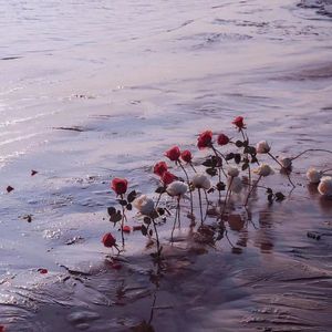 人间旅行者（片段）