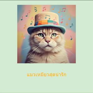 แมวเหมียวสุดน่ารัก