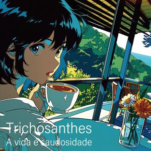 白くてふわふわ