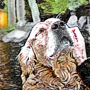 Pilliwinks Sheet Bend