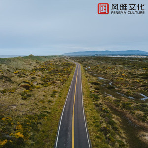 童年看过的哈尔移动城堡(小提琴)