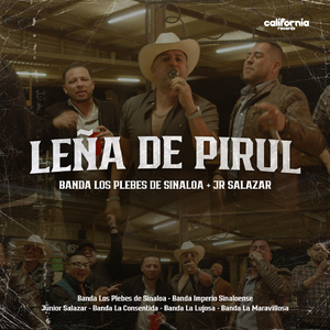 Leña De Pirul