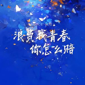 浪费我青春你怎么赔 (Live合唱版)