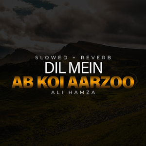 Dil Mein Ab Koi Aarzoo Lofi