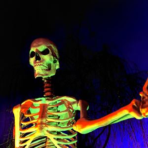 X-RAY (Instrumental)