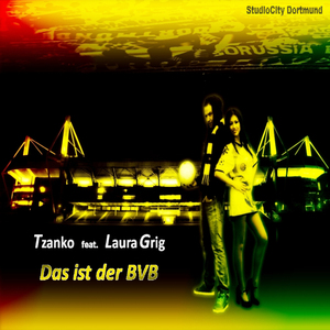 Das ist der BVB