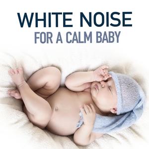 White Noise: Stereo Kettle