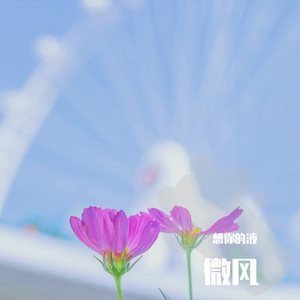 吃饭
