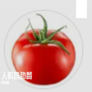 孤影寻踪之旅