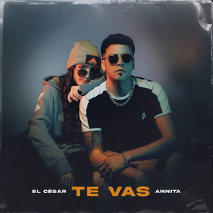 TE VAS
