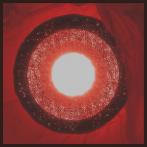 Asteroides (Versión Remasterizada 2024)