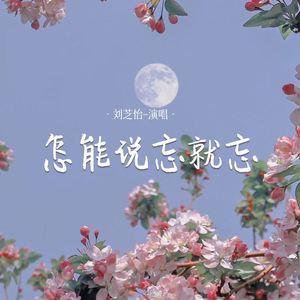 怎能说忘就忘