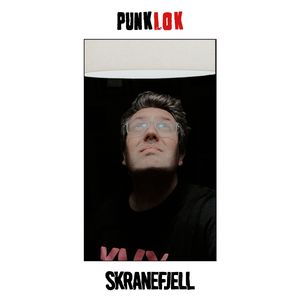Punklok
