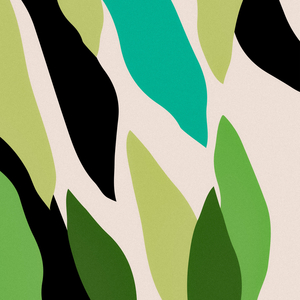 Welcoming of the Colts