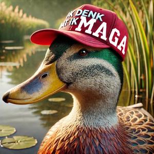 Dag Amerika, ik denk dat ik MAGA