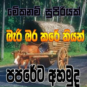 මේක සුපිරියක් - බැරි බර කරේ තියන් Bari Bara Kare Thiyan - New Trending sinhala song