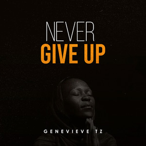 Never Give Up