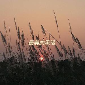最美的承诺