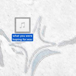 what you were hoping for