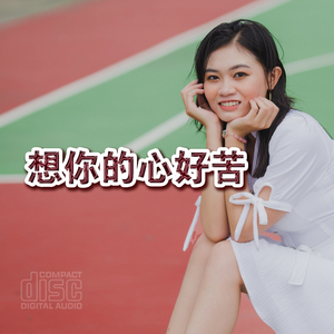 想你的心好苦