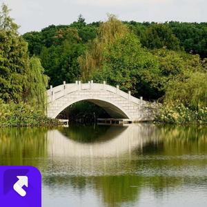 如果感情已变淡