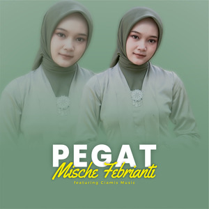 Pegat