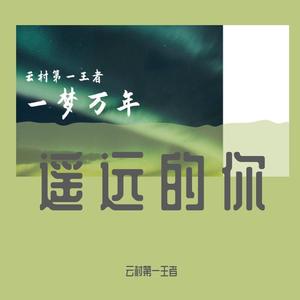 云村第一王者 - 遥远的你