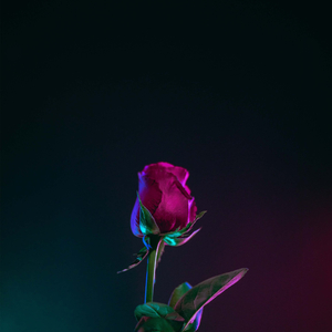 Tum Jo Aaye - Slowed + Reverb