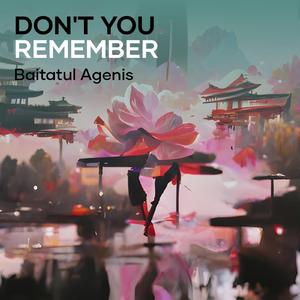 Don't You Remember