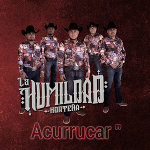 Acurrucar