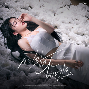 เข้าใจแต่ไม่เข้าใจ (Disposable)