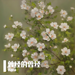 莫将前世记今朝(伴奏)