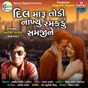 Dil Maru Todi Nakhyu Ramkdu Samjane