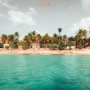 适合办公室工作抚慰的音乐