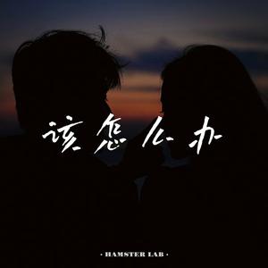 该怎么办 - R&B乐队女声