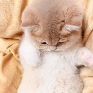 现代爱情