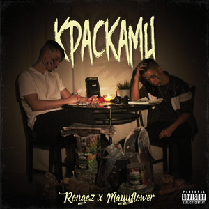 Обрывки смысла