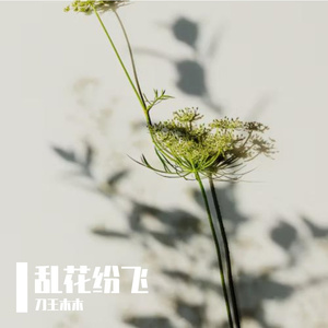 乱花纷飞-整曲