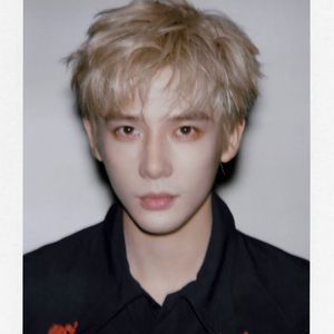 世界崩塌时你是我最后的陆地