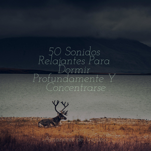 Susurrando en las nubes