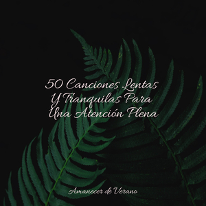 Lamento de amor melancólico