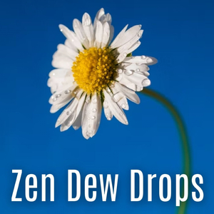 Souls of the Righteous