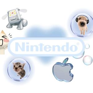 NINTENDO 3DS SETTINGS