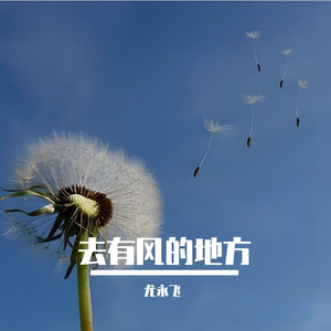 去有风的地方