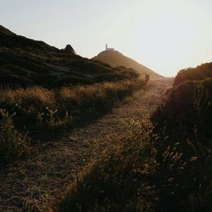 夏日漱石(2023跨年夜现场)