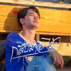 กลับมาอีกได้บ่ (Instrumental)