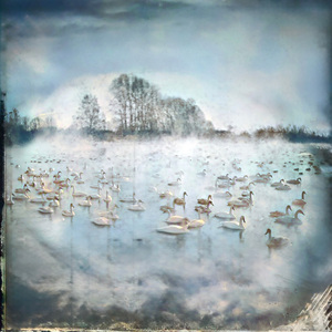 Всё начнётся заново