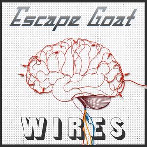 Wires