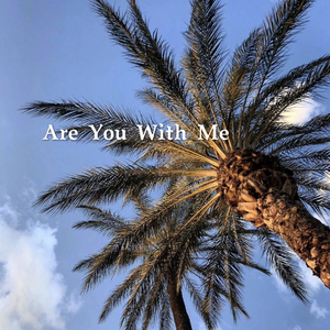 Are you with me（Remix）