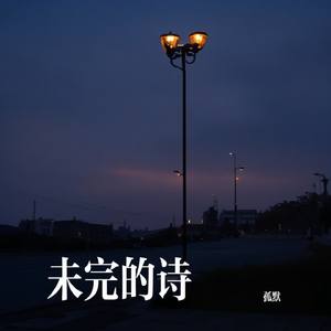 未完的诗